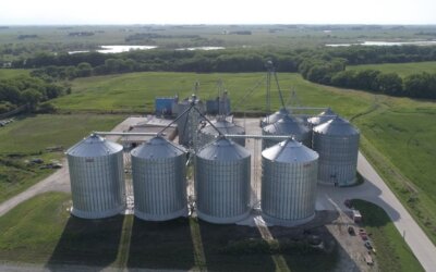 Harvesting tomorrow: Chief Agri’s grain storage guide to planning ahead for growth and expansion