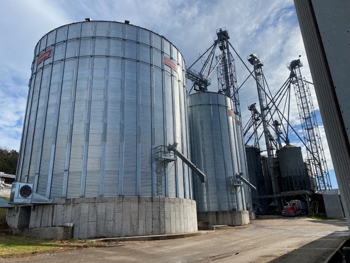 Chief Agri grain bins grain types Low-angle view of Chief Agri grain bins for different grain types.