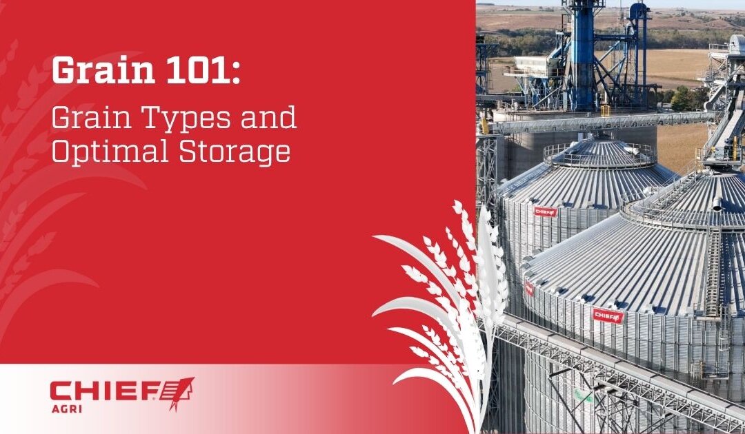 Grain 101: Grain Types and Optimal Storage From Chief Agri