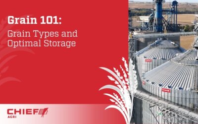 Grain 101: Grain Types and Optimal Storage From Chief Agri