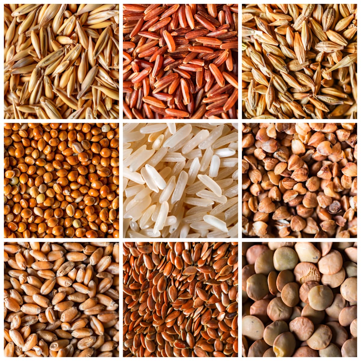 Factors That Can Affect Actual Grain Storage Capacity Collage of different types of grains that can be stored in Chief Agri bins.