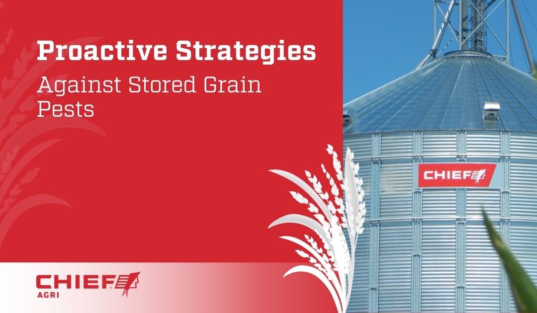 Proactive Strategies Against Stored Grain Pests