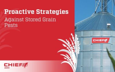 Proactive Strategies Against Stored Grain Pests