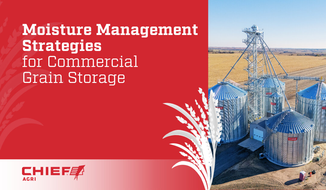 Moisture Management Strategies for Commercial Grain Storage