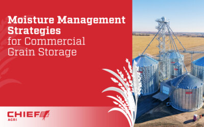 Moisture Management Strategies for Commercial Grain Storage