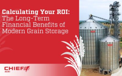 The ROI of the Agricultural Investment in Grain Storage