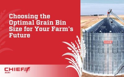Choosing the Optimal Grain Bin Size for Your Farm’s Future