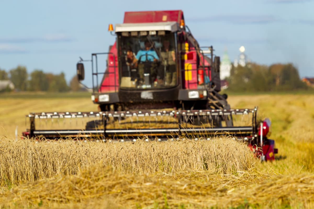 A farmer using a combine in a grain field.